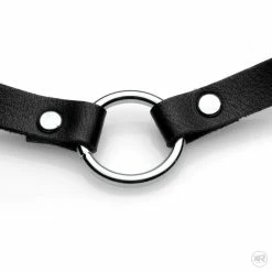Clothing Accessories Extreme Sex Toys, Bondage, & Fucking Machines | ExtremeRestraintsLush Pet Silver Ring Slim Choker -SEX TOY SHOP ag852 bulk 002 1000x1000