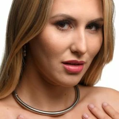 Clothing Accessories Extreme Sex Toys, Bondage, & Fucking Machines | ExtremeRestraintsStainless Steel Locking Collar